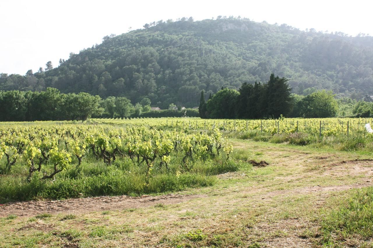 Domaine Regis Freres Bed & Breakfast Vidauban Luaran gambar